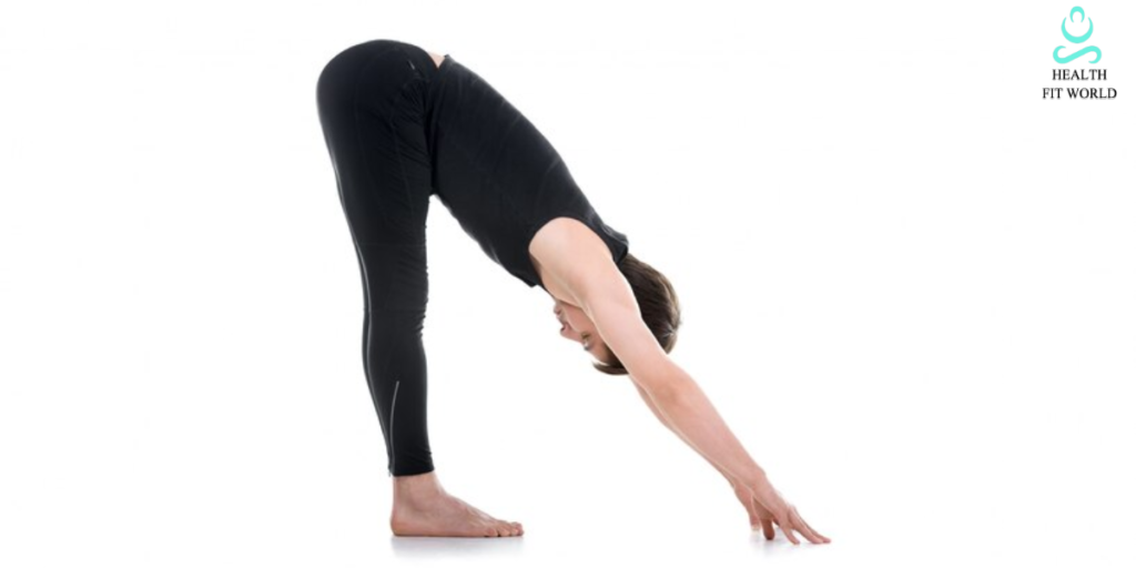 Padahastasana Hand to Feet Pose